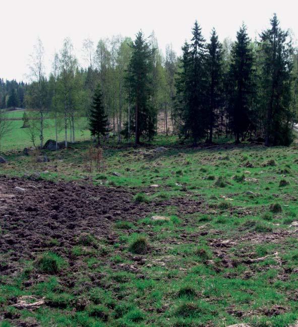 Arvokkaiden perinnebiotooppien hoito turvattava Tutkittujen niittyjen hoitotilanne ei ollut merkittävästi parantunut, sillä hoitamattomia oli vuonna 2006 vain kaksi vähemmän kuin vuonna 2000.