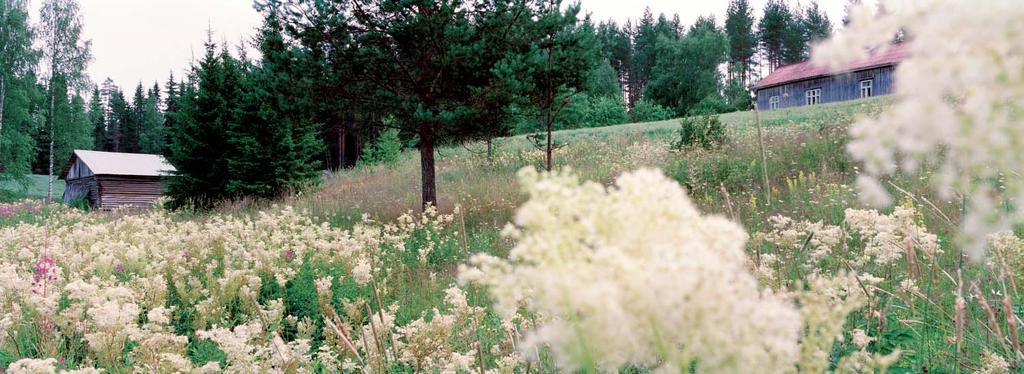 Visuaalisen maisemaseurannan kuva-aineistojen tarkastelun perusteella voidaan arvioida, että menetelmän kehittäminen on kannattanut.