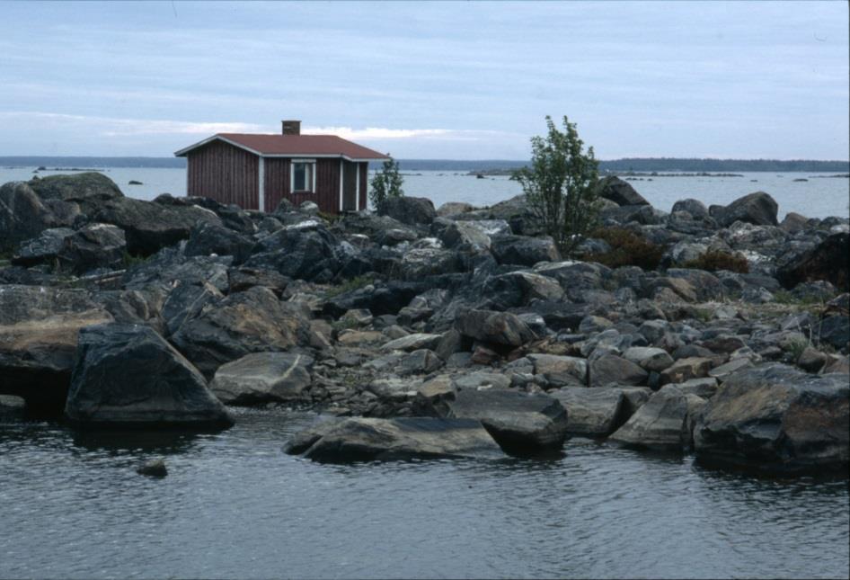 13 kiikarin kans ja alako kattoo. Siellä kivellä oli joku ihmeellinen möykky, onko se hylje vai mikä. Hän lähti sitte kattomaa. Mies oli sitte kiven päällä, sano sitte, että: Pauli!