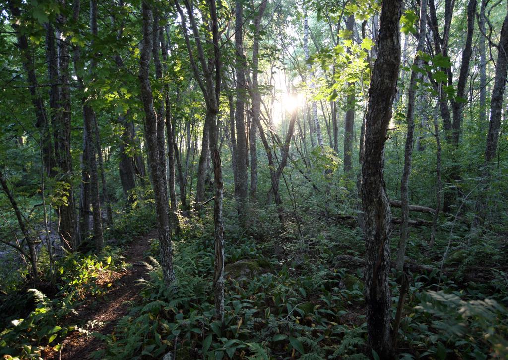 Jätevedet Laitosalueen biologis-kemialliselle jätevedenpuhdistamolle johdettiin noin 20 546 m3 talousjätevesiä.