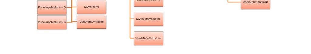 Organisaation tiimit ovat jakautuneet kahdelle eri paikkakunnalle. Organisaation rakenne on tarkemmin kuvattuna kuvassa 5.1. Kuva 5.