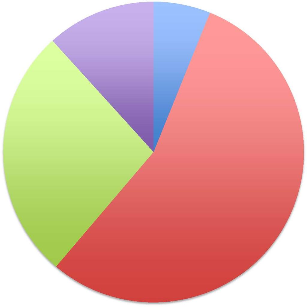 Jäsenistön veneet On kevytvene 6 % Ei ole