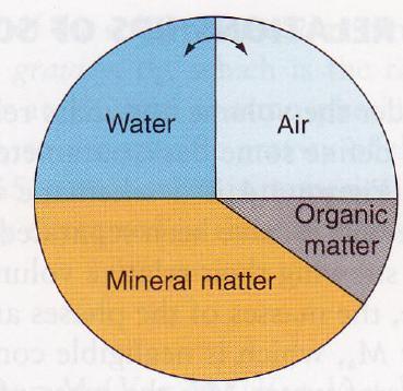 Maan toiminnot hiukkasten pinnoilla ja huokosissa Maan kiintoaines muodostaa rakenteen rungon - hiukkasten ja murujen välissä/sisällä huokosia -muru- ja huokosrakenteen muodostuminen savimaiden