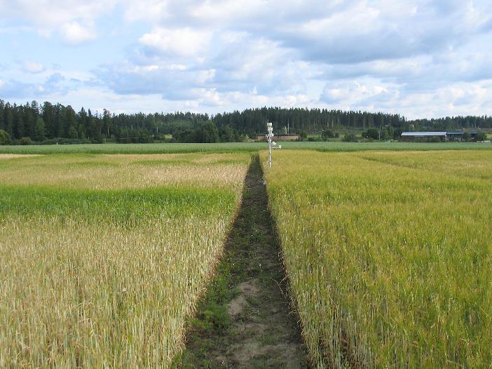 Ennen toimenpidettä tehtävä diagnoosi Maan ominaisuudet huono läpäisevyys, esim. lätäköityminen pinnan muodot, pinnan liettyminen (mm.