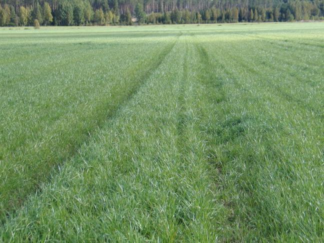 Left: extended configuration, the anchors of the forward frame are now engaged and the plows of the rearward frame will till. Right: contracted configuration.