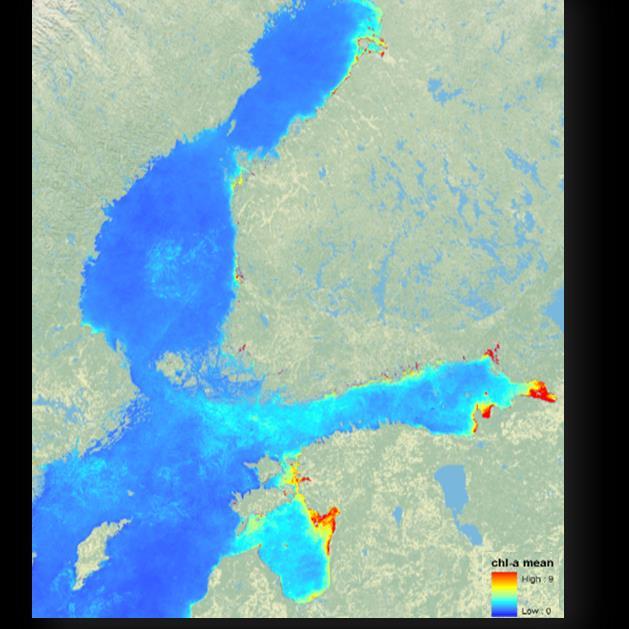 Rajauksia Tietojärjestelmähanke, rajapintahanke ja toimintamallien kehittämishanke SYKEn kannalta erityisesti Monitor2020 a tukeva tietojärjestelmähanke