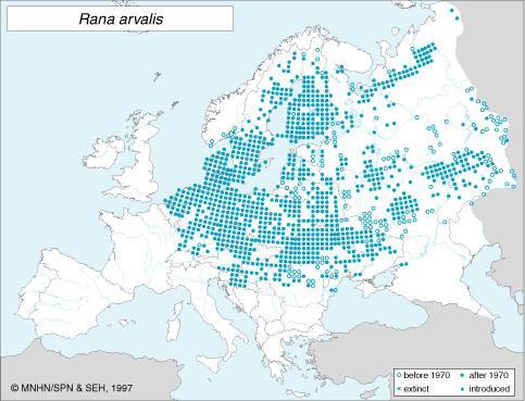 suojaetäisyys, joka kuuluu hävittämis- ja heikentämiskiellon piiriin ja on siksi myös suojeltu (Euroopan komissio 2005).