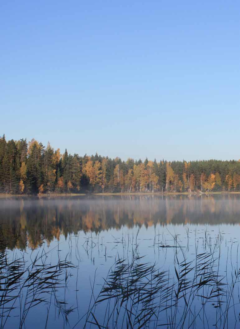 HYVÄ YMPÄRISTÖ ALUEEN VETOVOIMATEKIJÄNÄ Houkutteleva elinympäristö on monen asian summa. Kaakkois-Suomen ELY-keskus valvoo metsäteollisuuden ympäristölupien toteutumista ja toteuttaa mm.