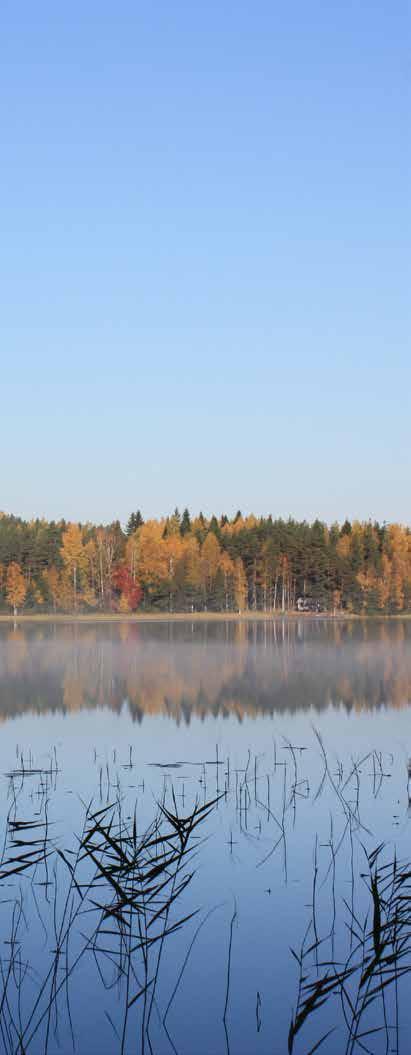 Vähennä vesistöjen ympäristöpainetta Kaakkois-Suomen vesistöjen tilaan vaikuttaa luontaisten tekijöiden lisäksi ennen kaikkea ihmisten toiminta.