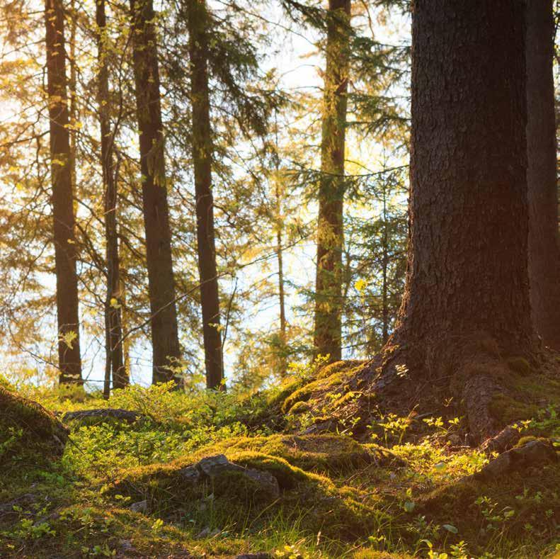 Kilpailukykyä ja kasvua Kaakkois-Suomeen.