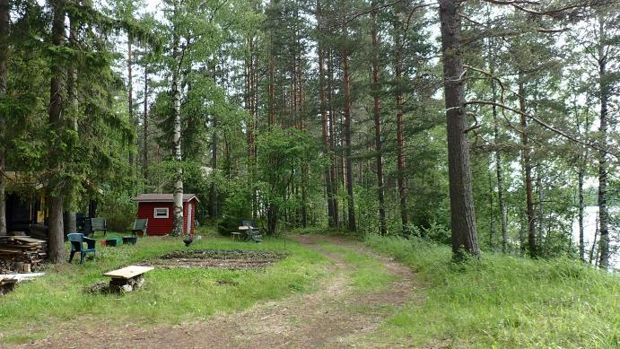 3 Alue B Mäntyvaltaista kangasta, jossa myös kuusta jonkin verran aliskasvuna. Aluetta on rakennettu, rantametsät ovat melko avonaisia.