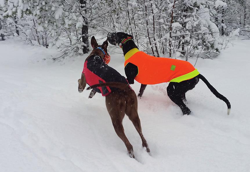 Lähetä otokset
