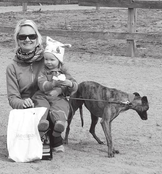 Vuoden 2015 Kuoppamestari Whippet CG-Huuli-Veikko Onneksi olkoon Kati ja Jönssi! Jönssi meni ja uusi voitokkaasti Kuoppamestaruuden nimiinsä toisena peräkkäisenä vuotena. Miltä voitto maistuu?