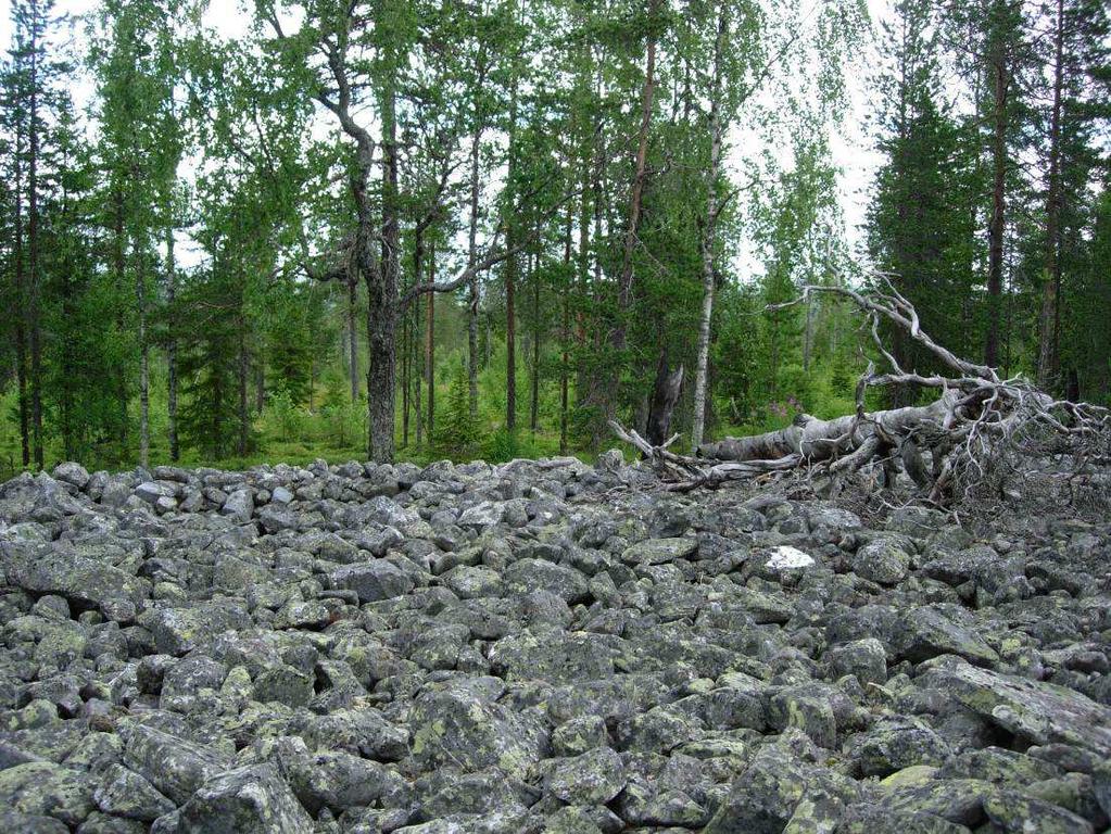 FCG SUUNNITTELU JA TEKNIIKKA OY Loppuraportti 12 (17)