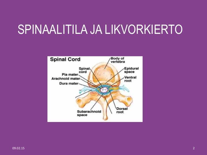 15 Kuva 3: Likvorkierto (Neurokirurgian klinikka 2015) 3.4 Aivokuollut elinluovuttaja Aivokuolleen elinluovuttajan nestehoito toteutuu sentraalisen laskimokatetrin kautta.