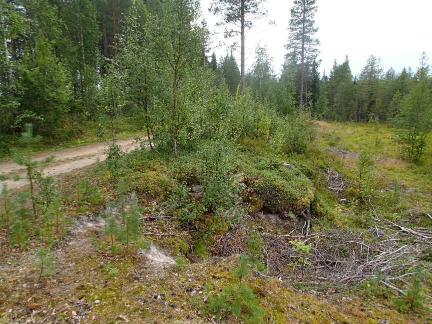 27 Hiekkakuoppa ja törmä lounaaseen. Muut havainnot Tervola Vanhantalonkangas a, b ja c. Maastohavaintojen perusteella kyseessä on myöhäisen historiallisen ajan jäännökset.