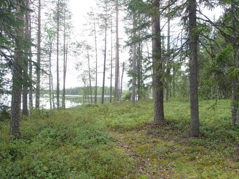 (Palovaaran) välisellä alueella.