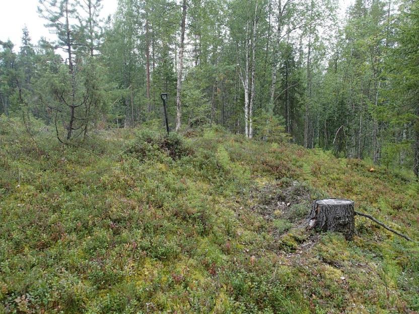 30 Maastoa kaava-alueella