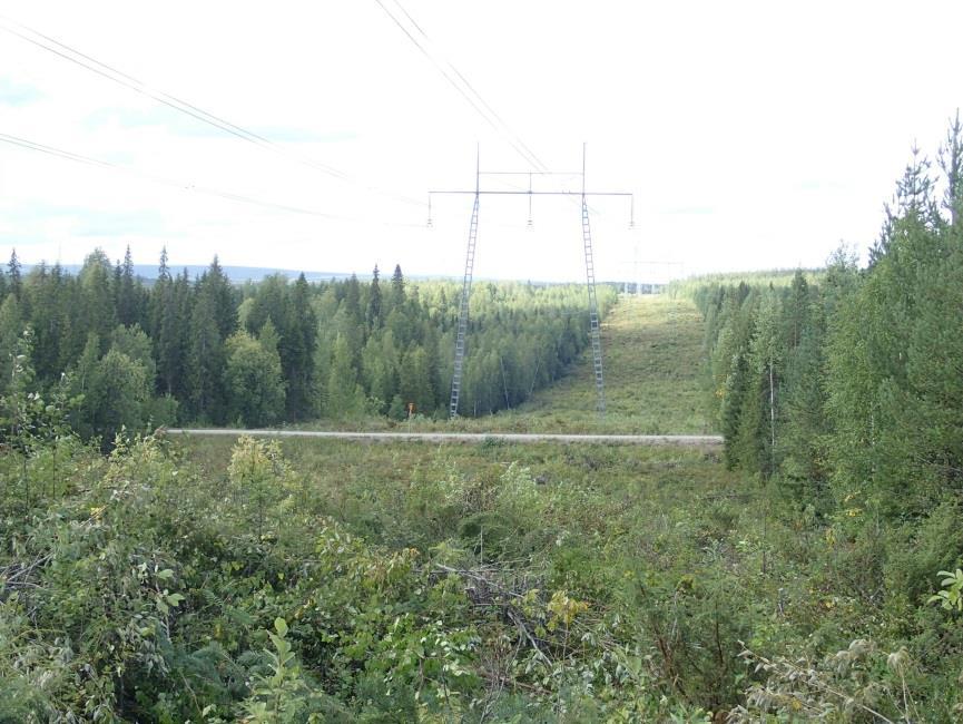 31 Maastoa linjalla