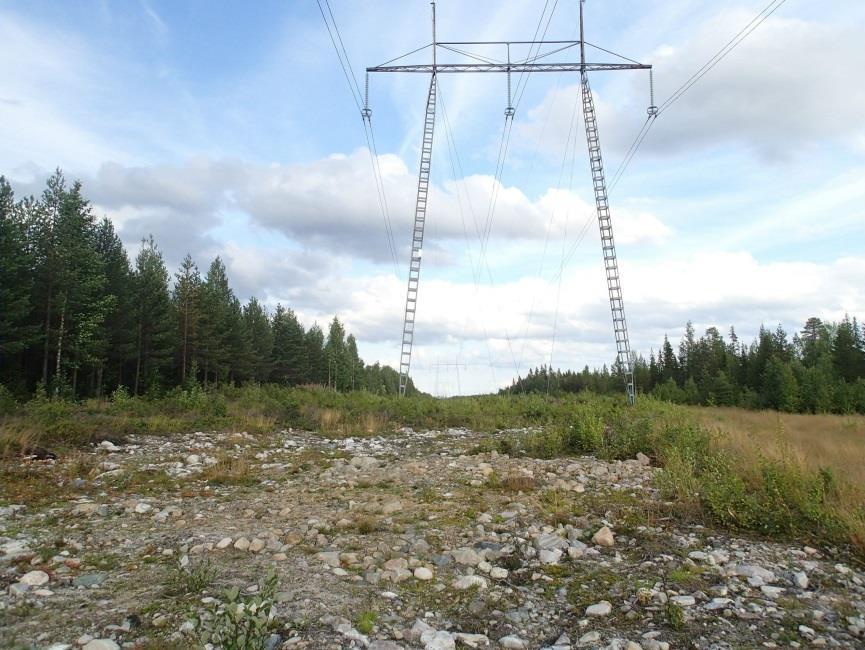 puolen Kemijoesta itään.