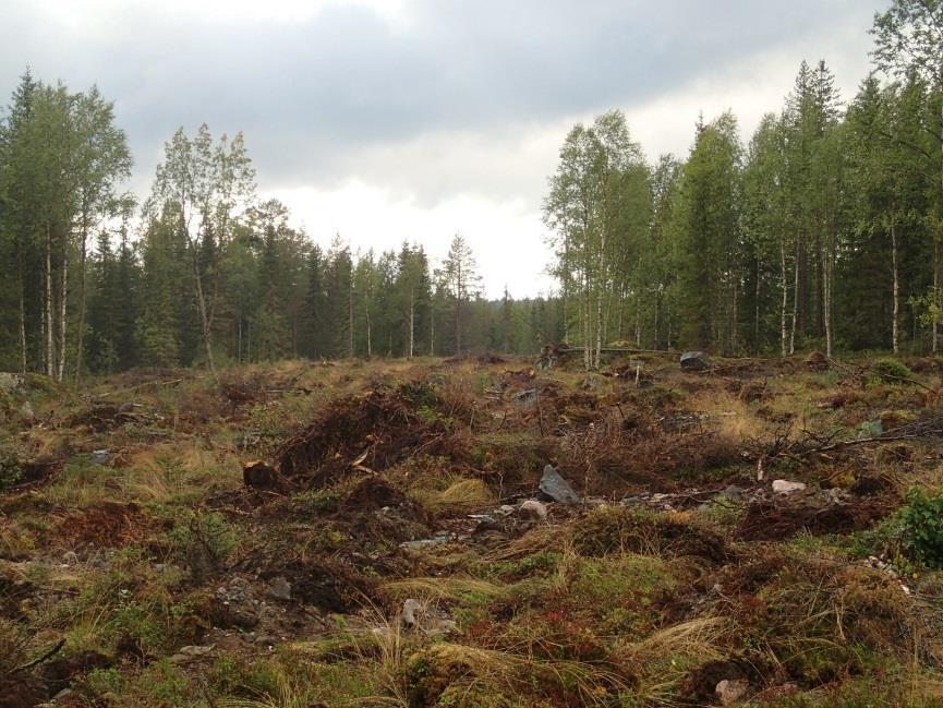 Lamuriojasta luoteeseen.