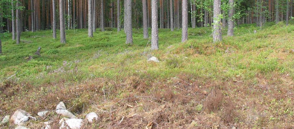 Rajausmuutokset Alkuperäiseen rajaukseen (Pirkanmaan harjuluonto, 1990) verrattuna alueen itäisin osa on rajattu valtakunnallisesti arvokkaan alueen ulkopuolelle, koska alueella on aktiivisessa