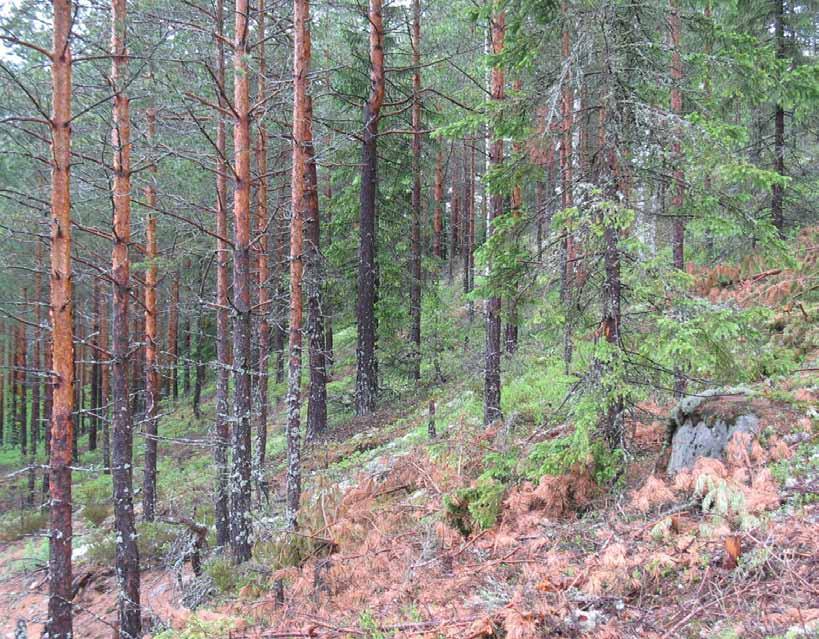 Rajauksen sisäpuolelle jää kaksi suurempaa maa-ainesten ottamisaluetta (Kierukanhade ja Isoaukeen länsipuoli), joissa toiminta on ainakin osittain päättynyt.