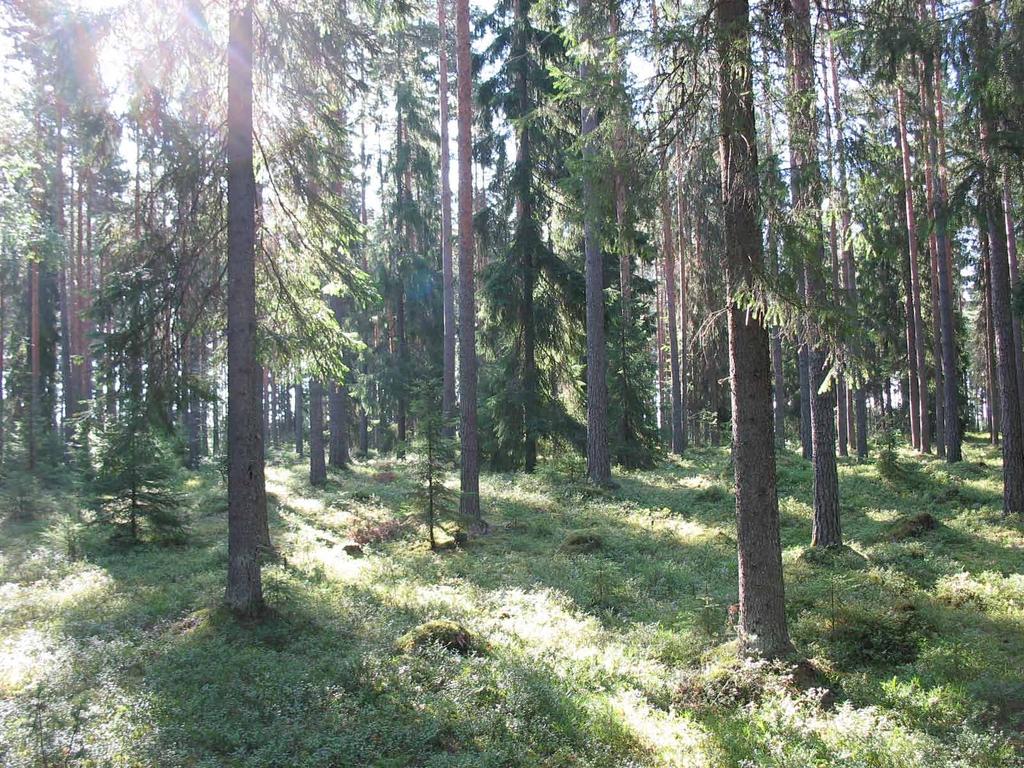 Osa harjuselänteestä on kaavassa osoitettu suojelualueeksi (SL). Alueen luoteiskärki sijoittuu valtakunnallisesti arvokkaalle Hämeenkyrön kulttuurimaisema-alueelle (Koski, 2014).