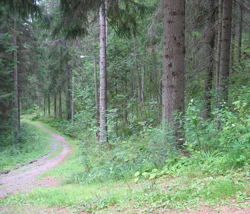 Alueiden geomorfologia on myös samantapaista paikoin jyrkkine selänteineen sekä useine suppineen. Alueen rajoihin ei varsinaisesti ole tehty suurempia muutoksia.