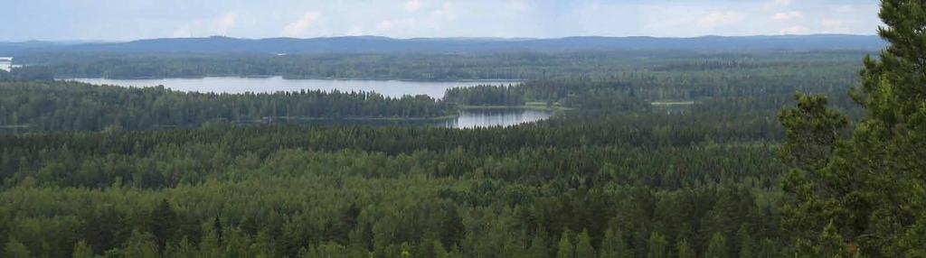 Mäntänvuori (Mänttä-Vilppula) Pinta-ala: 193,9 ha Alkuperäinen rajaus: Pirkanmaan harjuluonto, 1990 Muut rajaukset: Pirkanmaan arvokkaat harjualueet, 2008 Taajaman kulttuurimaisemaan ja ympäröivään