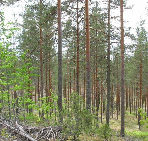 Rajaus- ja luokitusmuutokset Vatulanharju ja Ulvaanharju on yhdistetty yhdeksi kokonaisuudeksi (kuten on tehty jo Pirkanmaan liiton selvityksessä 2008).