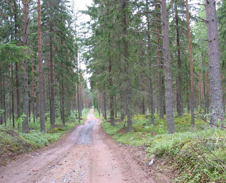 Kuva ylhäällä oikealla: Jakamakankaan