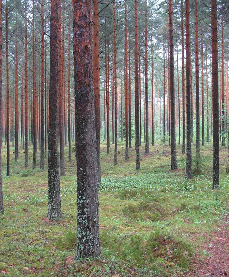 Hyrsynharju (Urjala) Pinta-ala: 80,7 ha Alkuperäinen rajaus: Pirkanmaan harjuluonto, 1990 Muut rajaukset: Pirkanmaan arvokkaat harjualueet, 2008 Maaseudun ja maaseututaajaman kulttuurimaisemiin,