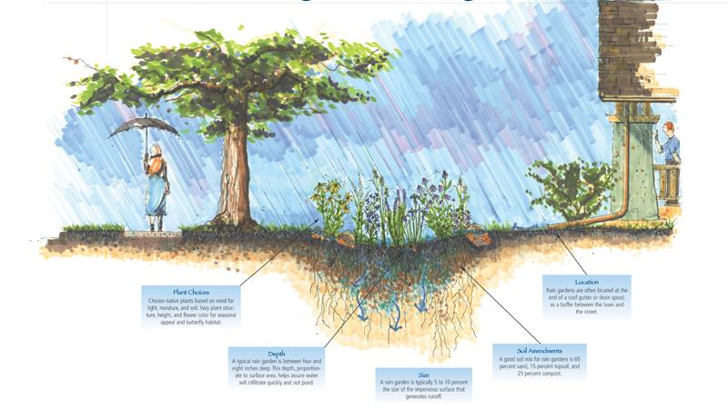 WATER THE GOAL IS TO INCORPORATE STRATEGIES AND TECHNOLOGIES THAT RESTORE OR MIMIC NATURAL SYSTEMS.