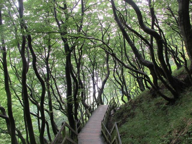 LANDSCAPE ARCHITECTURE?