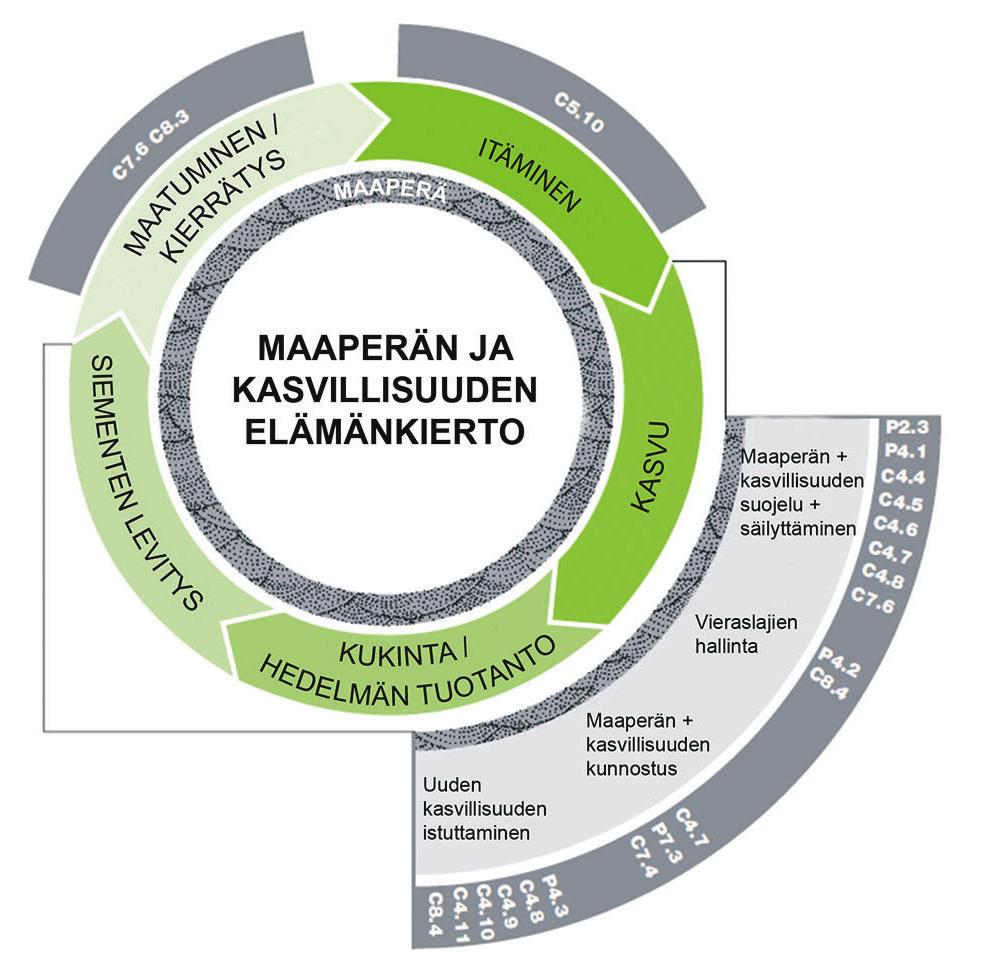 MAAPERÄ + KASVILLISUUS Kuva 41.