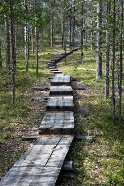 Yhteisön OIVA-työskentelyn tavoite Millainen vuorovaikutuskumppani toivon