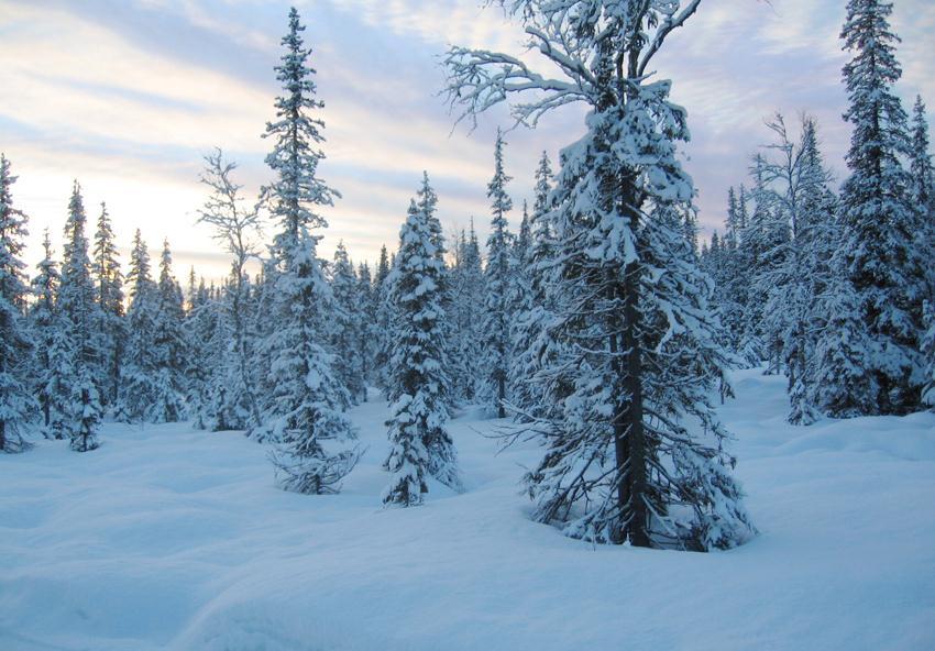 Hoitoa odottavat Maksut ja laskutukset