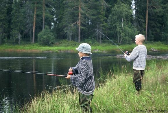 havainnoitavaa Mistä tietoa on