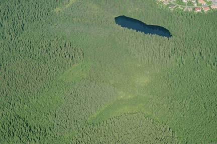 Suunnittelualueella esiintyy yleisenä myös laajoja nuoren metsän kuvioita sekä muutamia hakkuuaukkoja. Kivennäismaavaltaiselle alueelle vaihtelua tuovat alueen pienet lammet.