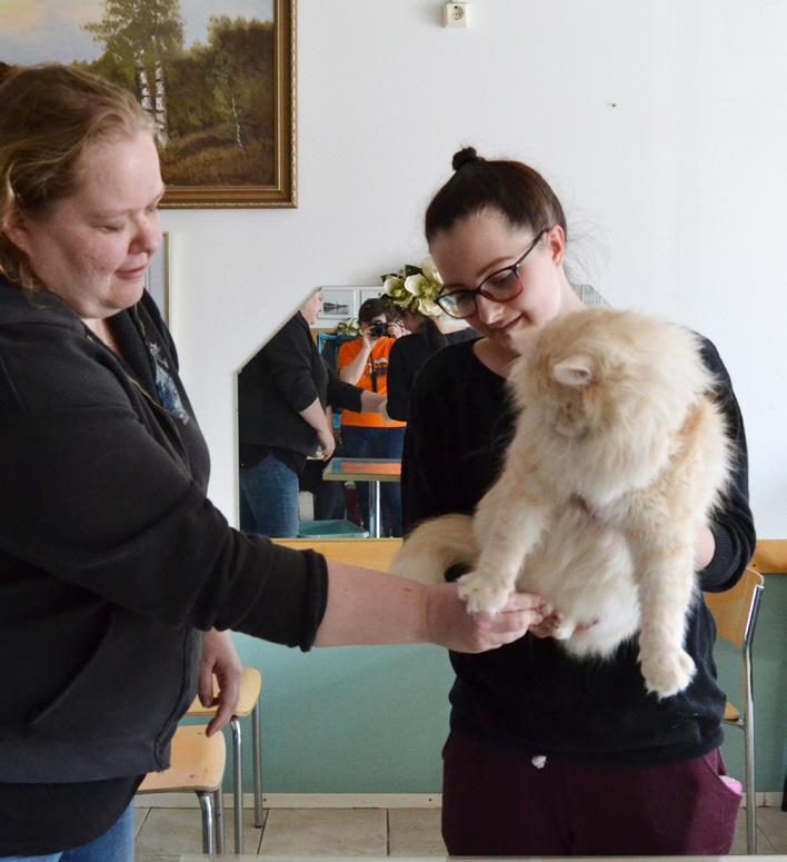 Haasteita riitti rimpuilevista ja sihisevistä kissoista valtaviin, lähes yhdeksänkiloisiin möhkäleisiin.