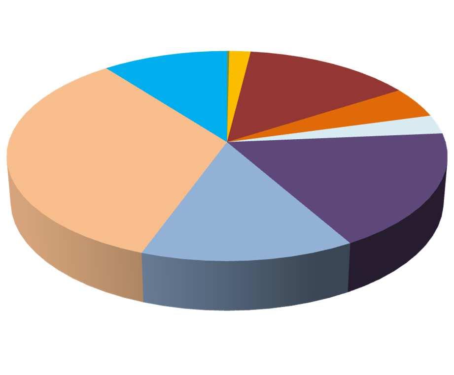 Kokkolan alueen ilmanlaadun tarkkailusuunnitelma 217-221 7 Kokkolan typenoksidipäästöjen jakauma 211-214 1 % % 2 % 14 % Muut 5 % Boliden - Rikkihappotehdas 3 % Yara Suomi Oy Yara Phosphates Oy CABB