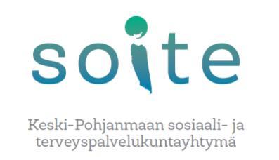 Valtuusto Tarkastuslautakunta Yksilöjaosto Kehittämisyksikkö Hallitus Ruotsinkielinen jaosto Kuntayhtymän johtaja Sosiaalityön profession koordinointi (sosiaalijohtaja) Hoitotyön profession