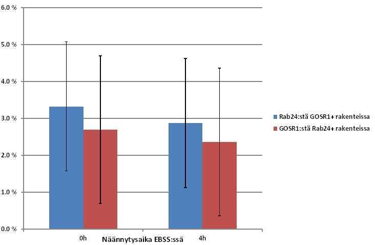 Kuva 4-7: mycrab24:ää stabiilisti yli-ilmentävien GOSR1:llä transfektoitujen HeLa-solujen konfokaaliimikroskooppikuvia analysoitiin ImagePro-ohjelmistolla.