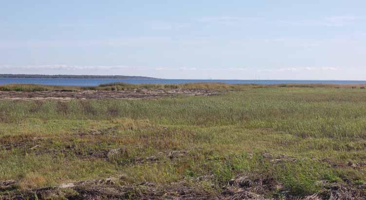 Havaintopiste sijaitsee noin 3 km lähempänä suunnittelukohdetta kuin Ojakylä. Nykyiset tuulivoimalat ja Oulun kaupungin voimalaitosrakennus näkyvät hämärästi horisontissa.