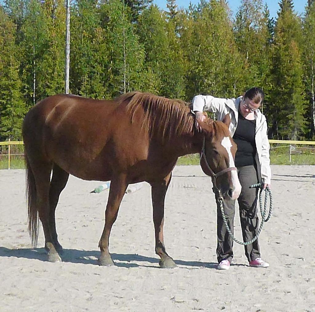 Kuva 2 Oon sen elämän aikana huomannut, että mulle merkitsee paljon luonto.