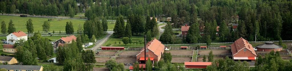 Valtion hevossiittolan toiminta ja kehitys, jalostuksen näkökulmasta Kuva 4. Nykyistä rakennuskantaa.