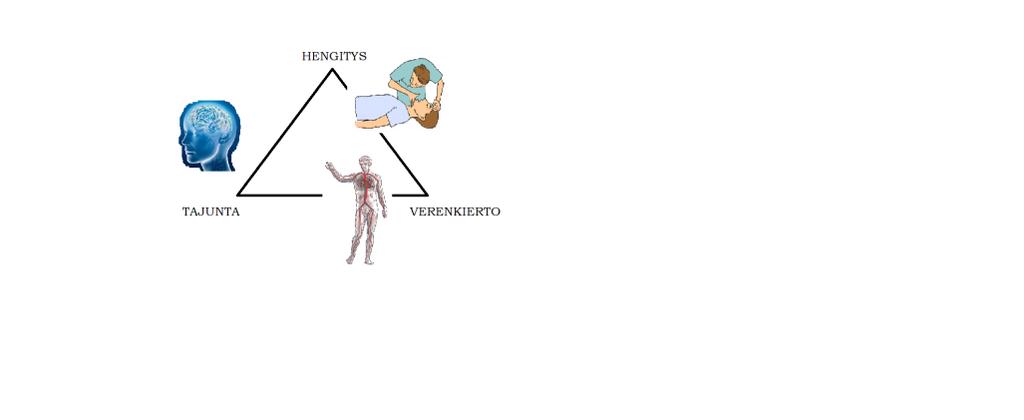 36 dia 7 dia 8 PERUSELINTOIMINTOJEN TARKKAILU PERUSELINTOIMINTOJEN TARKKAILU -HENGITYS- Hengittääkö autettava? Laske hengitystaajuus, - Norm.