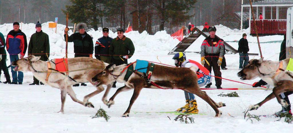 12 Panuman porokisat ajetaan juhlavuoden merkeissä Kisaselostamo. Vas: Ossi OinasPanuma selostaa, Herkko Miettinen käyttää tietokoneita, Eero Oinas-Panuma avustaa.