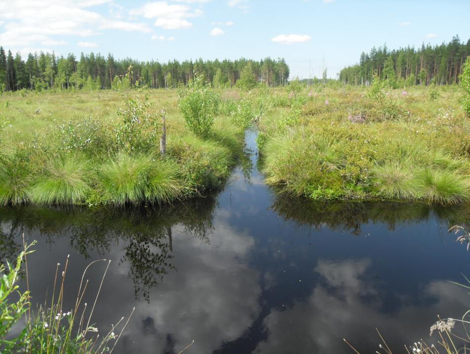 35 Pekkalan (2009) mukaan pintavalutuskenttien keskivaluma pohjoisilla alueilla on n. 14 l/s km 2 ja etelässä 9 l/s km 2. Suurin osa ympärivuotisista pintavalutuskentistä toimii pumppauksen avulla.